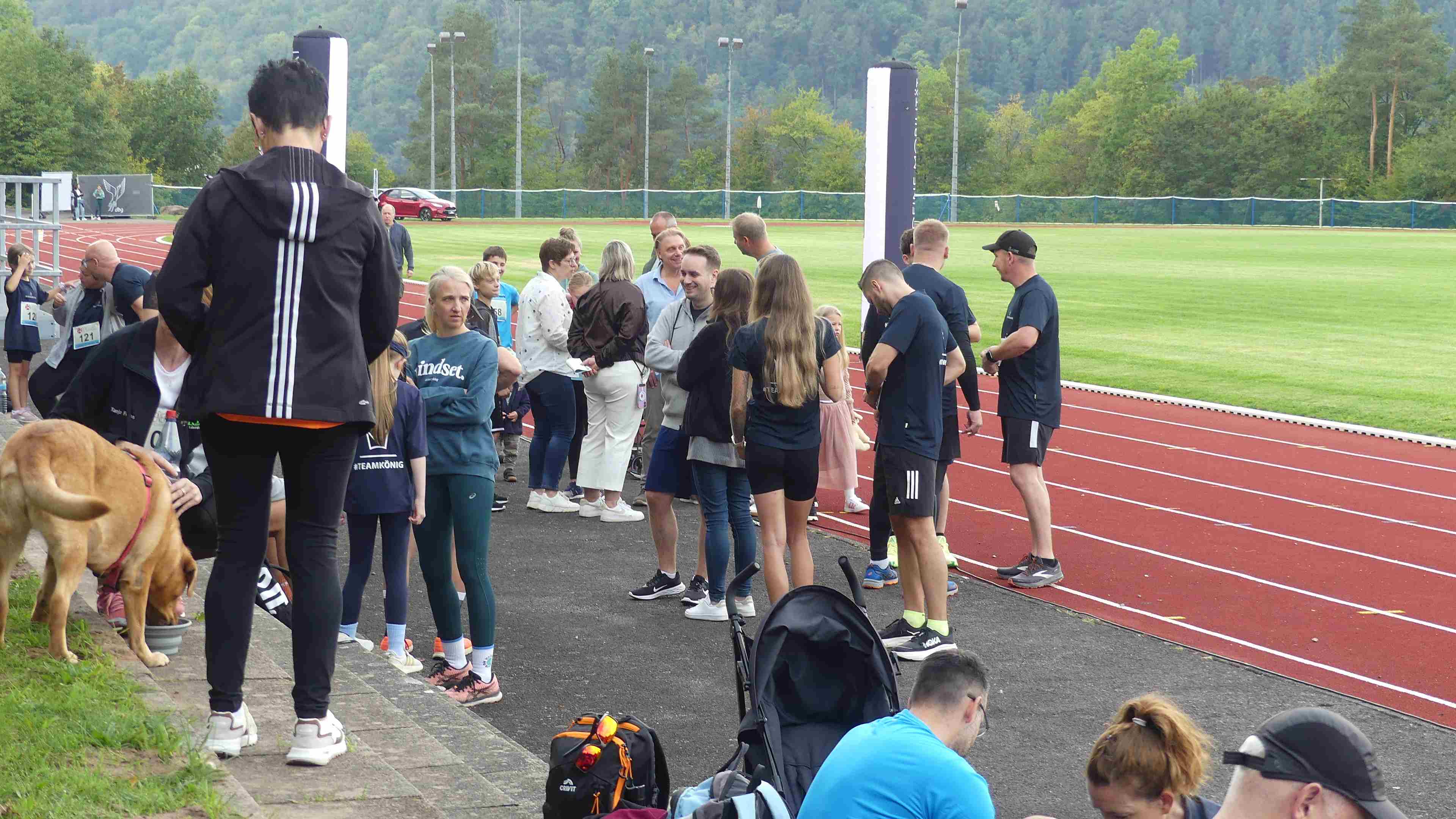 Bild vom 15. Benefizlauf im Jahr 2025. Dies ist das 6. Bild.